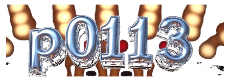 p0113 logo